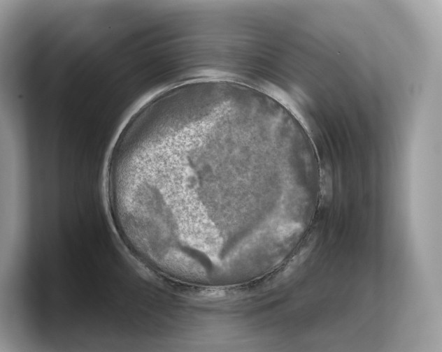 X0000103221098200809181459