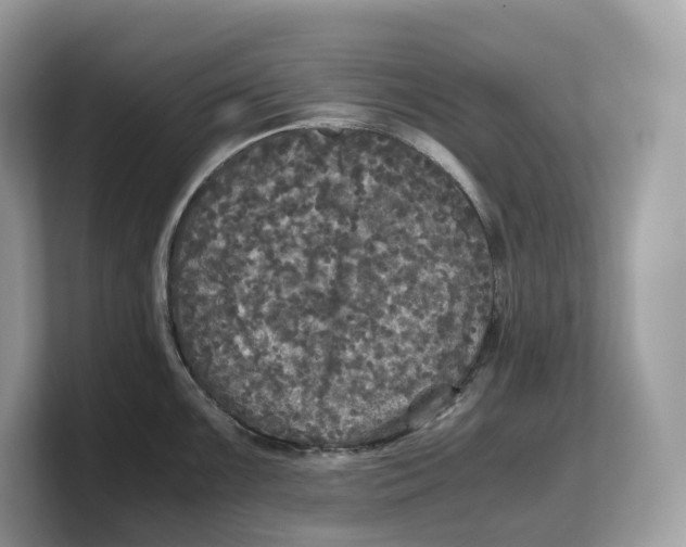 X0000103221099200809181458