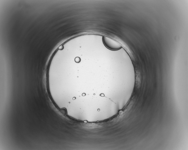 X0000103221100200809181458