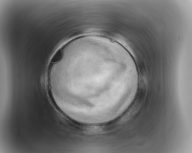 X0000103221101200809181458