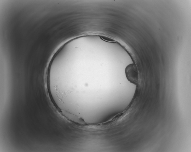 X0000103221102200809181458