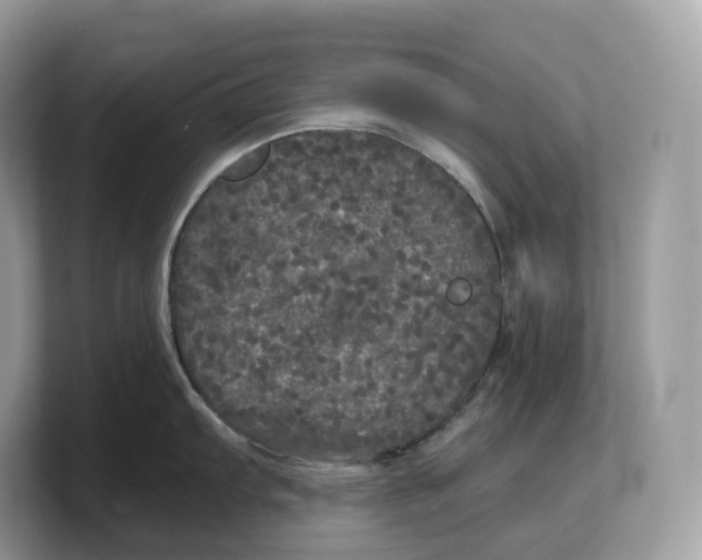 X0000103221103200809181458