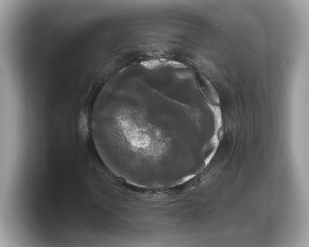 X0000103221106200809181458