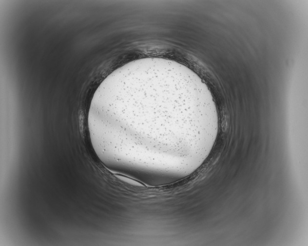 X0000103221108200809181458