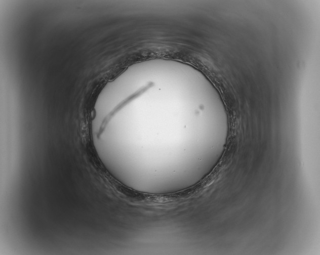 X0000103221109200809181458