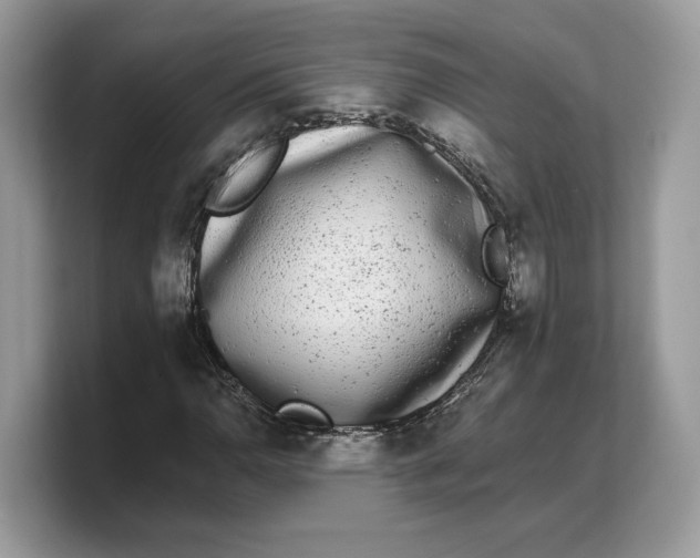 X0000103221110200809181458