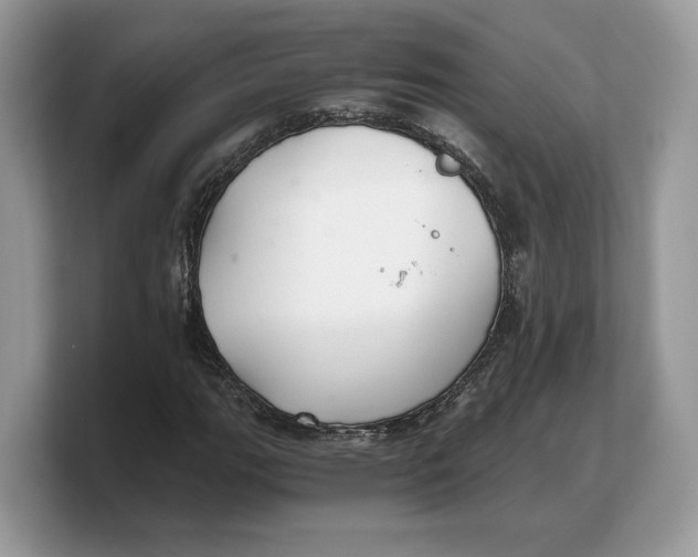 X0000103221111200809181458