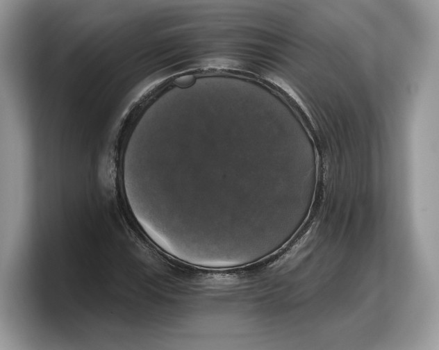 X0000103221115200809181458