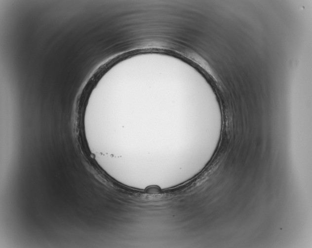 X0000103221116200809181458