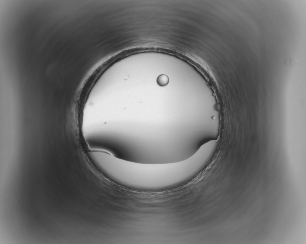 X0000103221120200809181458