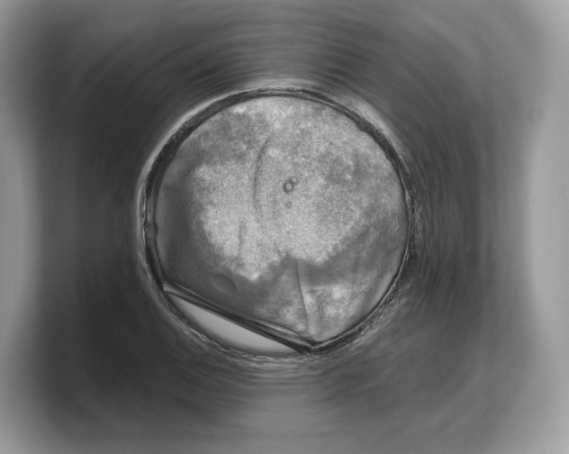 X0000103221124200809181458