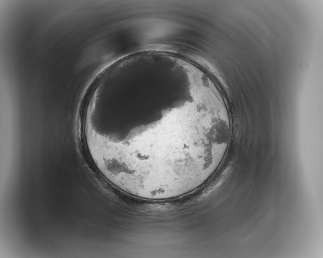 X0000103221125200809181458