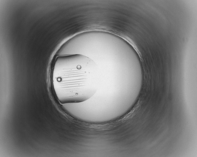 X0000103221128200809181458