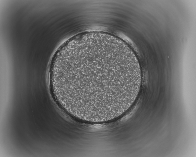 X0000103221130200809181458