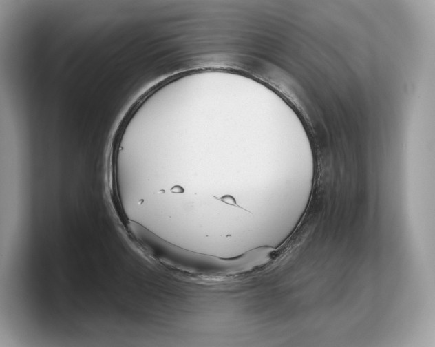 X0000103221132200809181458