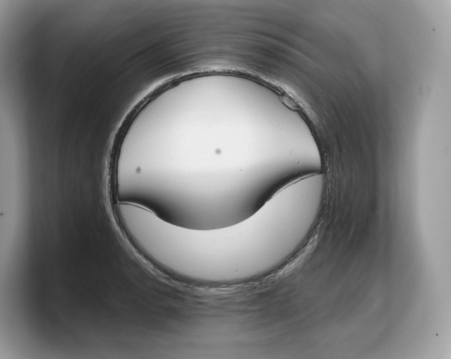 X0000103221134200809181458