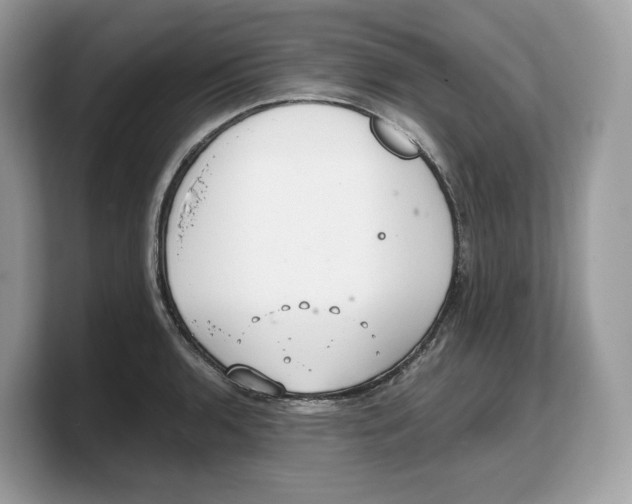 X0000103221136200809181458