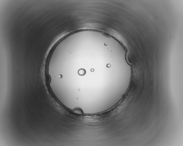 X0000103221138200809181458