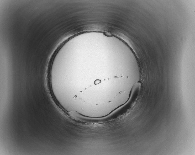 X0000103221139200809181458