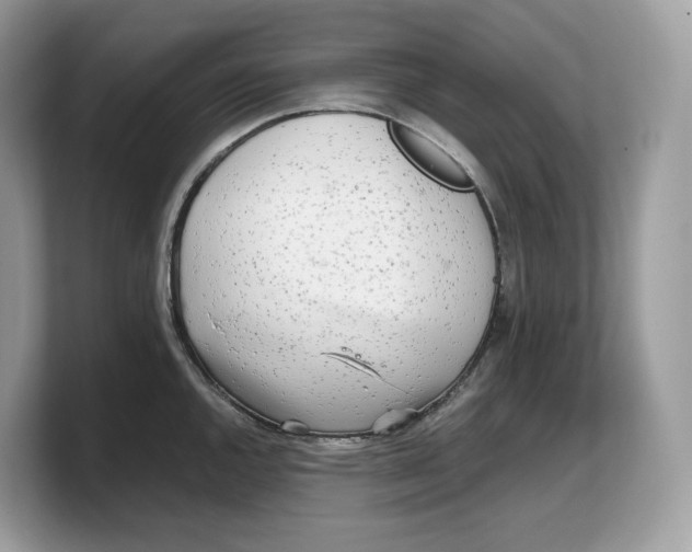 X0000103221144200809181458