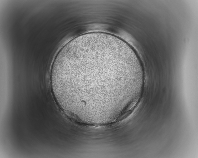 X0000103221145200809181458