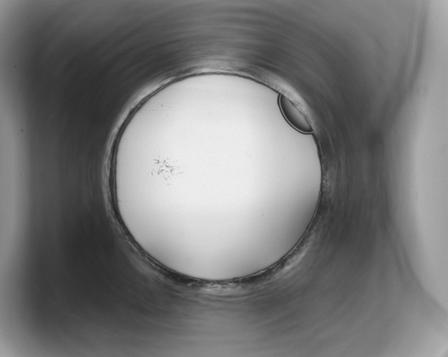 X0000103221146200809181458