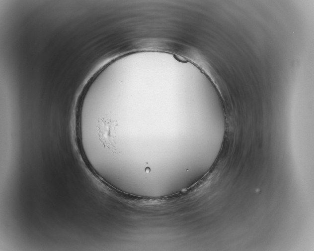 X0000103221147200809181458