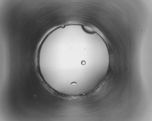 X0000103221148200809181458