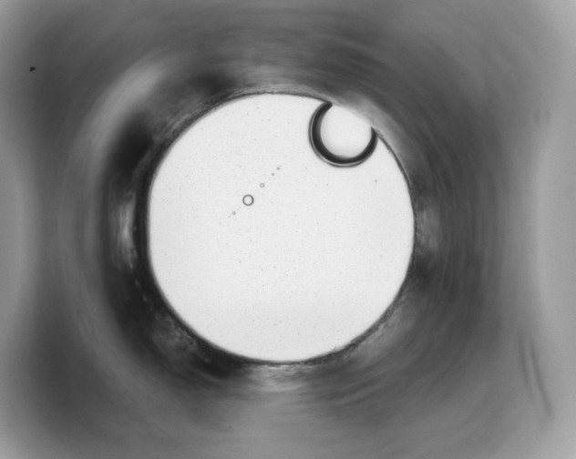 X0000103221150200809181458