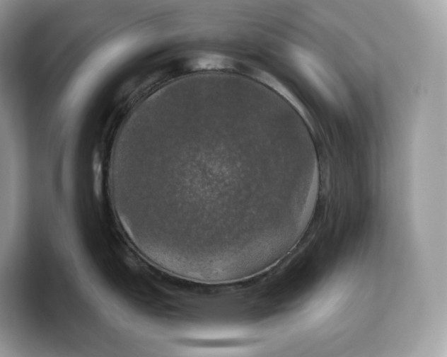 X0000103221151200809181458