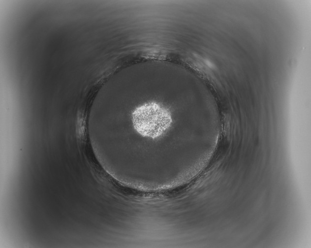 X0000103221154200809181458