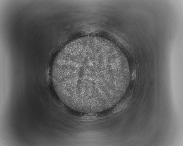 X0000103221156200809181458