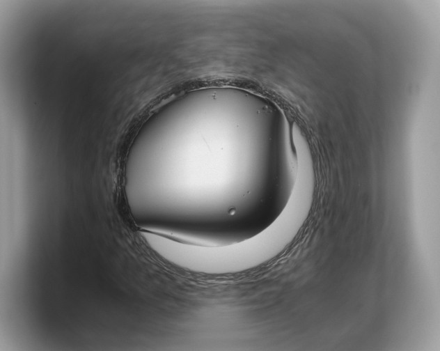 X0000103221157200809181458