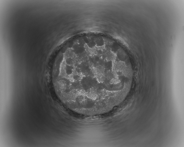 X0000103221159200809181458