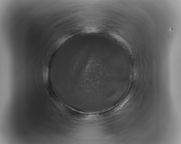 X0000103221161200809181458