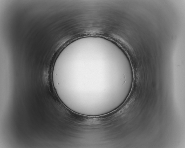 X0000103221162200809181458