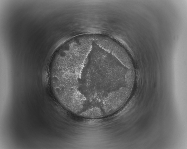 X0000103221163200809181458