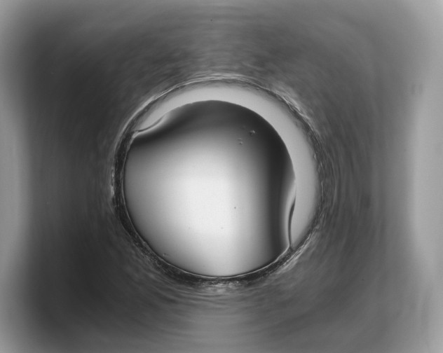 X0000103221165200809181458