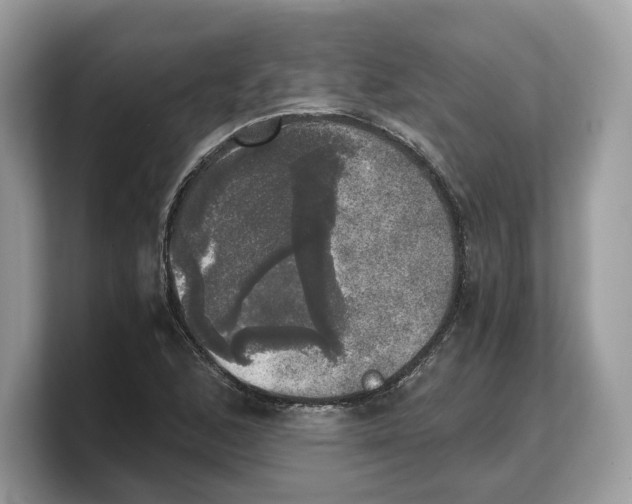 X0000103221168200809181458