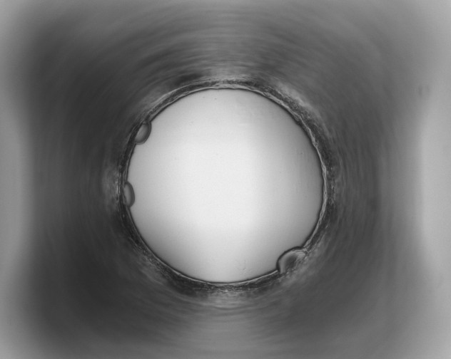 X0000103221169200809181458