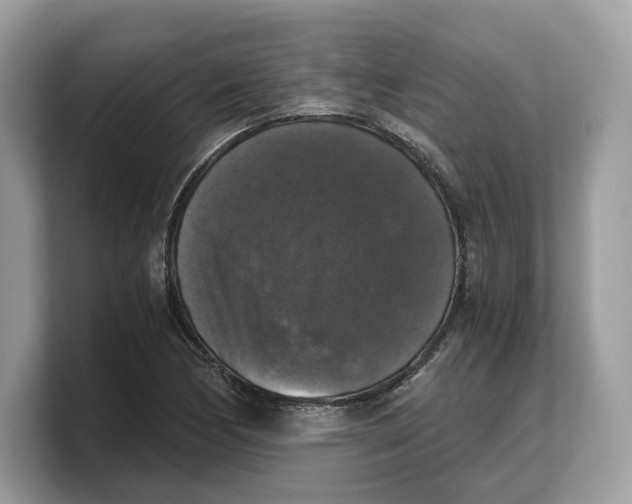 X0000103221170200809181458