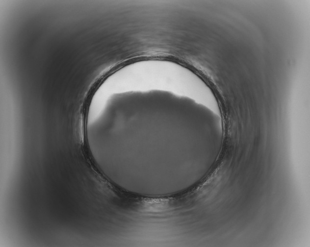 X0000103221171200809181458