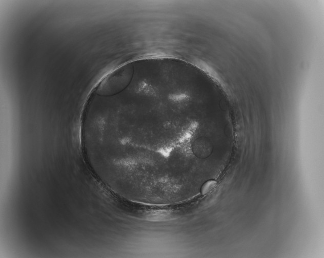 X0000103221173200809181458