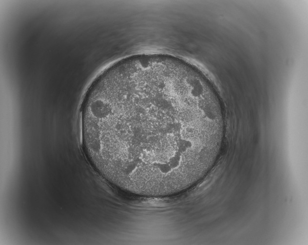 X0000103221175200809181458