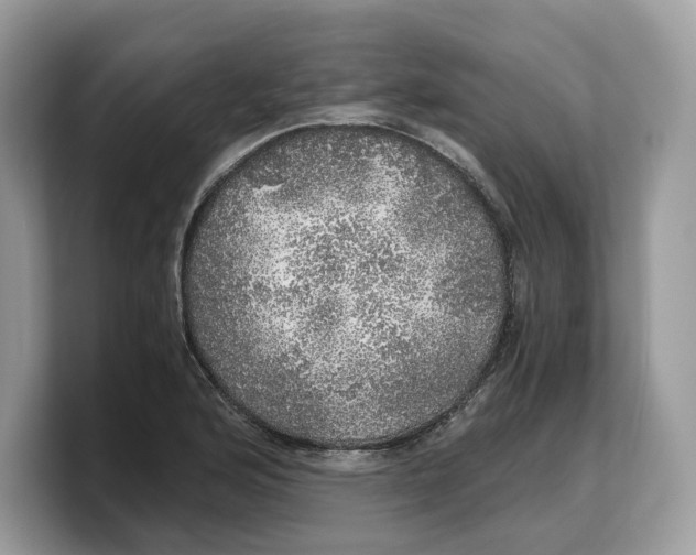 X0000103221176200809181457