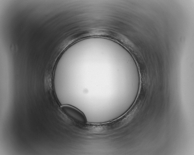 X0000103221177200809181457