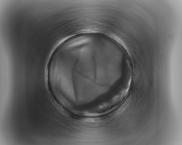 X0000103221179200809181457