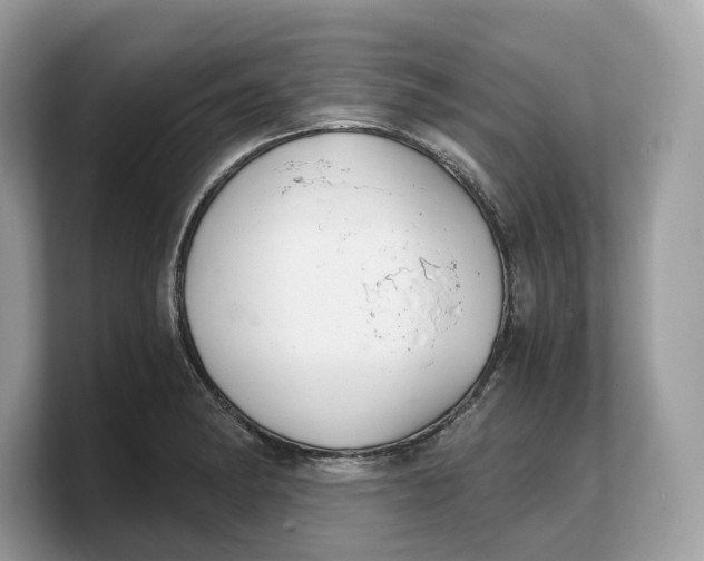 X0000103221182200809181457