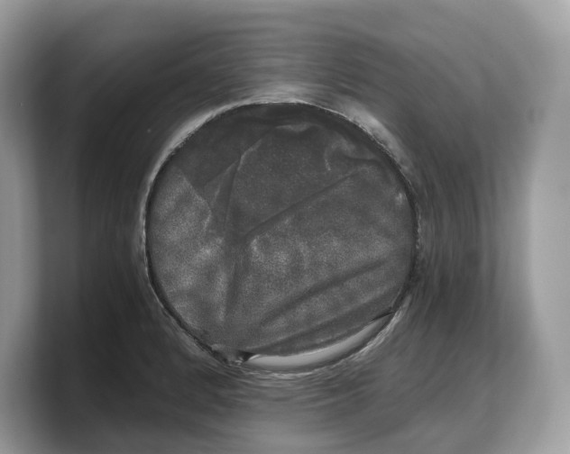 X0000103221184200809181457