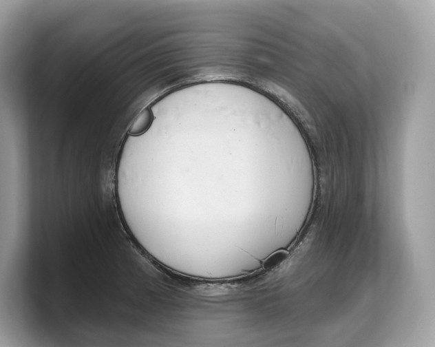 X0000103221185200809181457